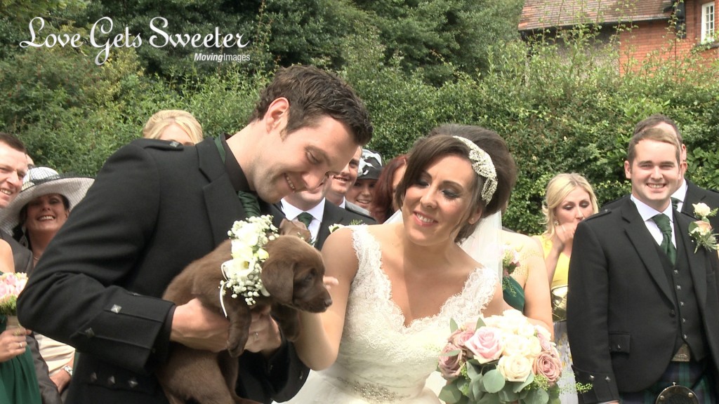 The Groom shows off his surprise to the bride for the wedding videographer and it's a chocolate Labrador wearing a cream rose flower collar outside their church in the Wirral
