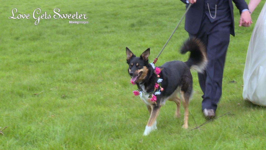 Hannah and Trevors Wedding17