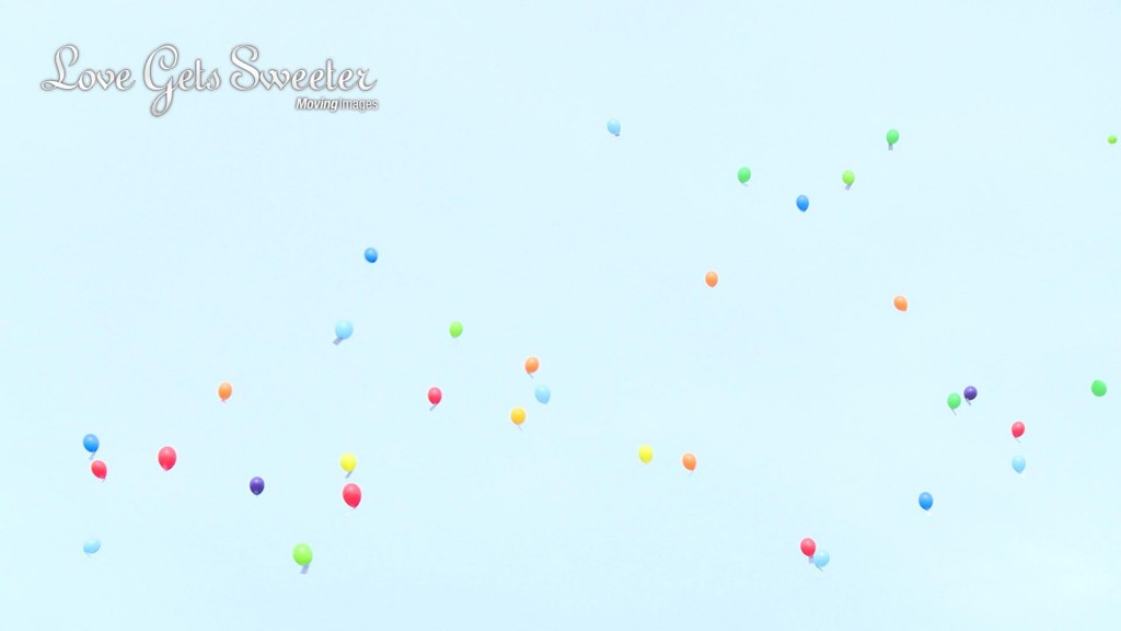 Hannah and Trevors Wedding21