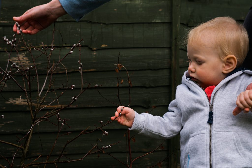 a little girl looks intently at a plant in the garden during a family photo and video shoot near Manchester