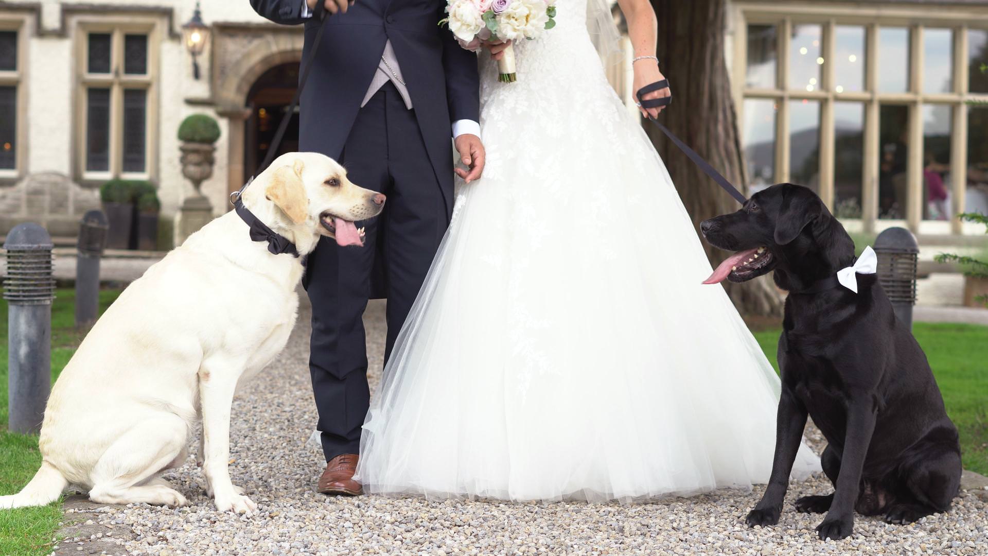 a shot of a bride and groom standing with their two dogs outside Mitton Hall in Clitheroe