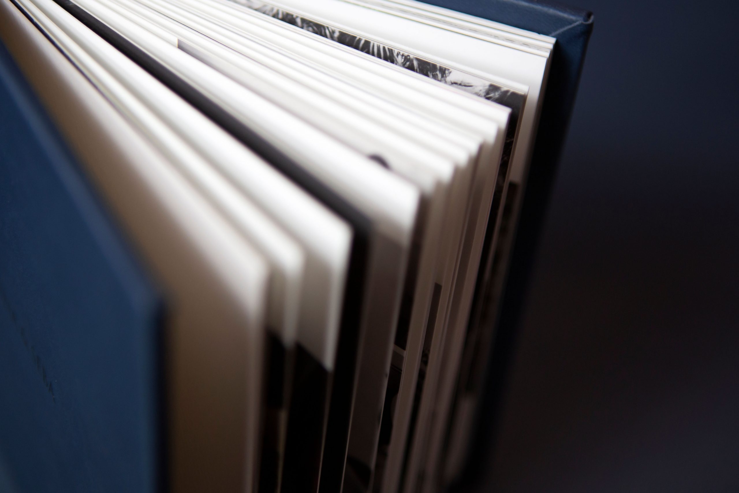 fine art blue family photography album