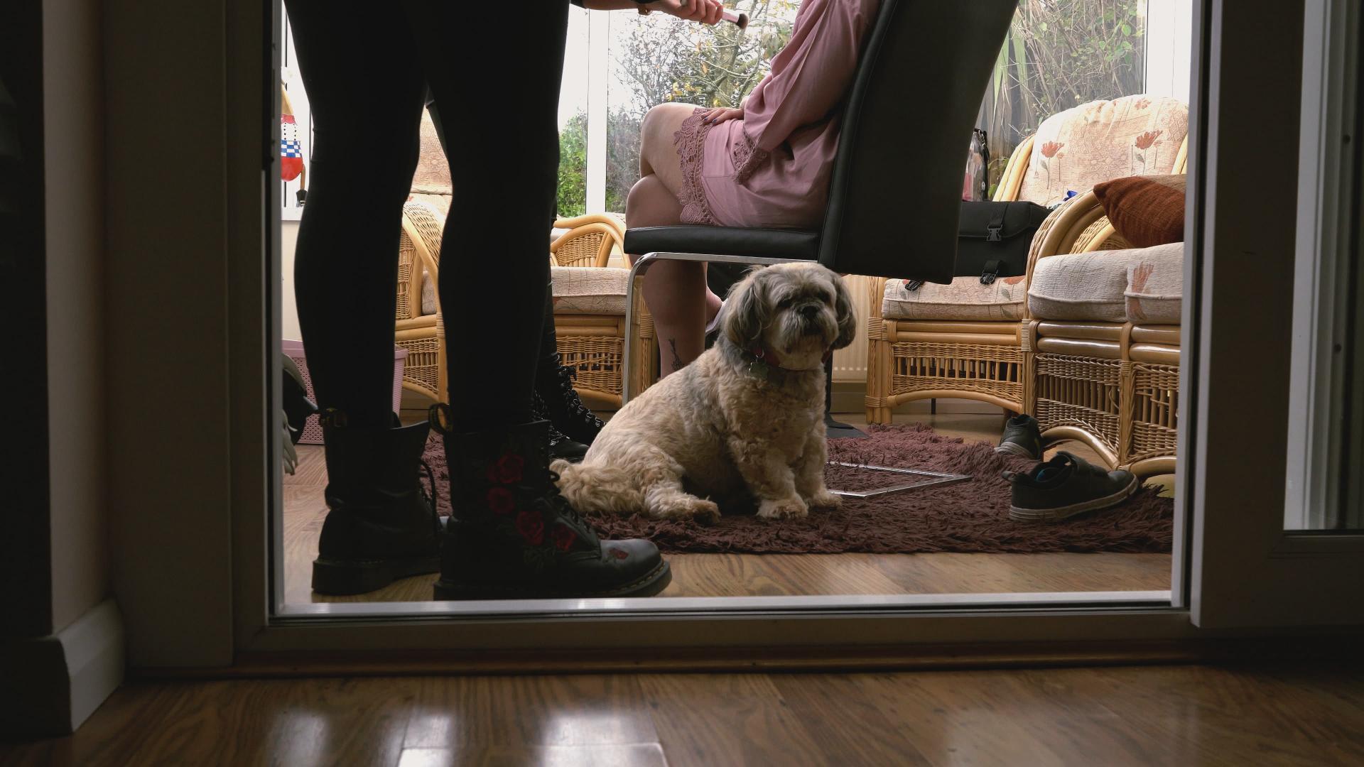 little dog sits by bride getting make up done in southport