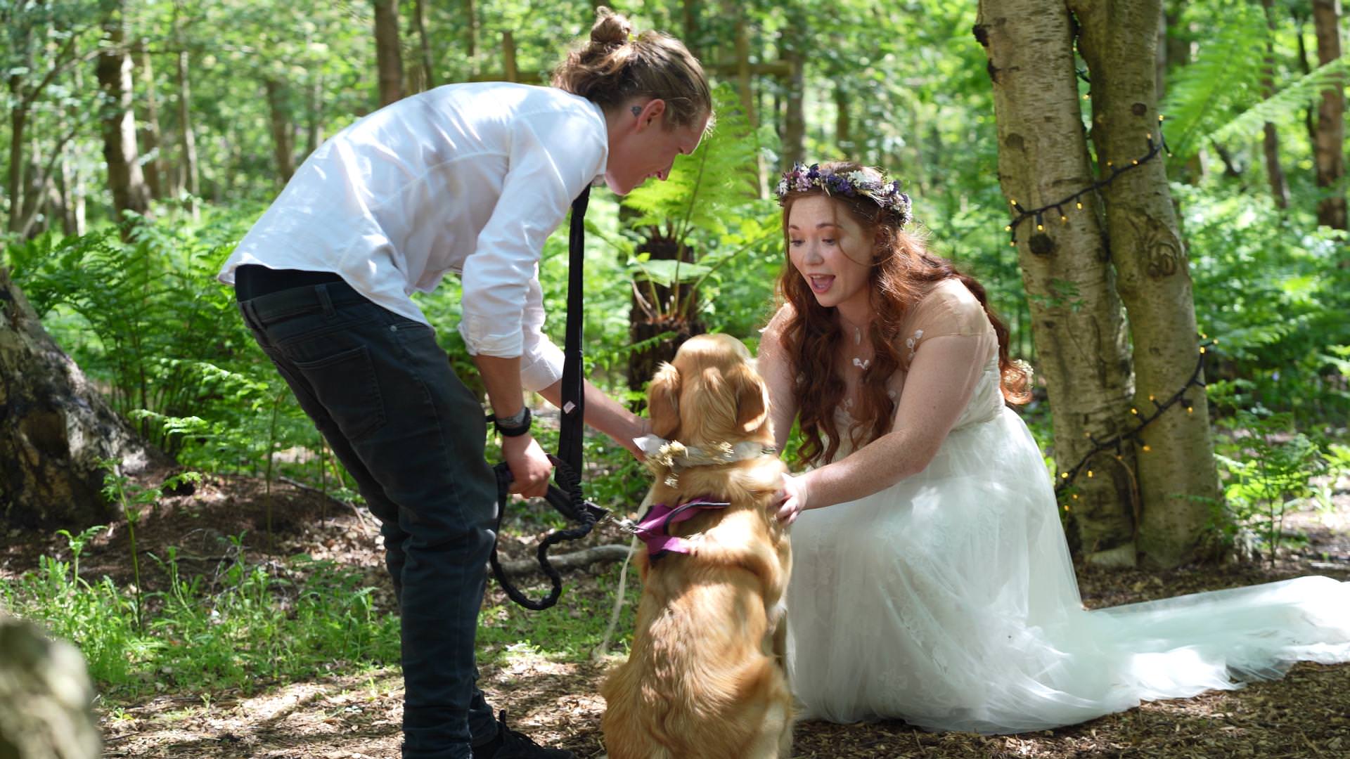 bride strokes her dog Nessie after ceremony