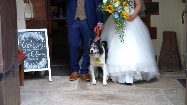 bride and groom with border collie dog outside church