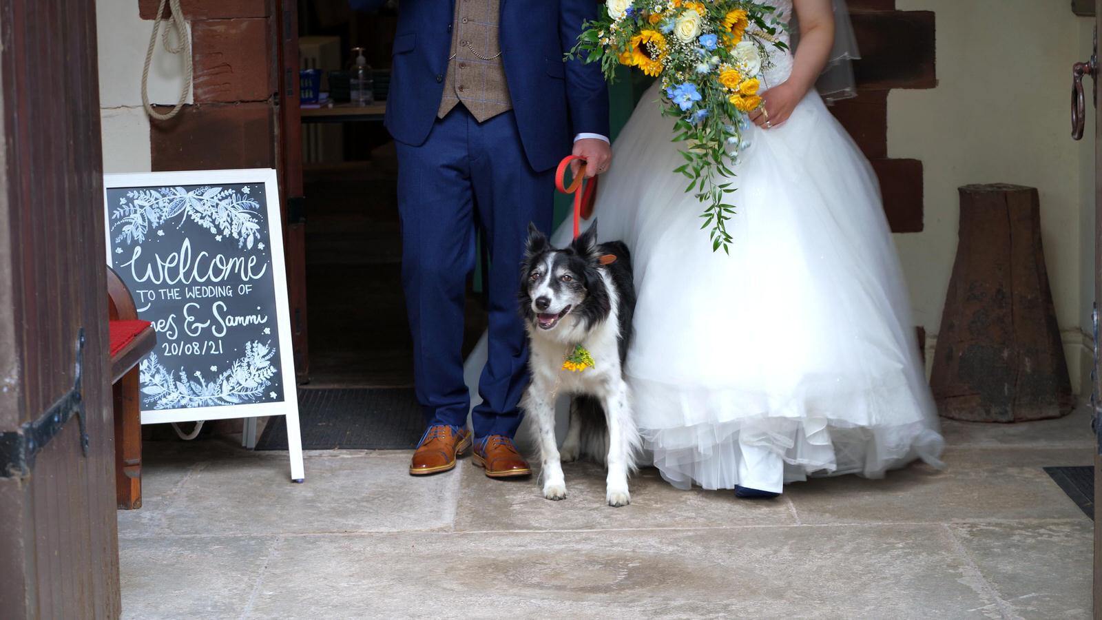 bride and groom with border collie dog outside church