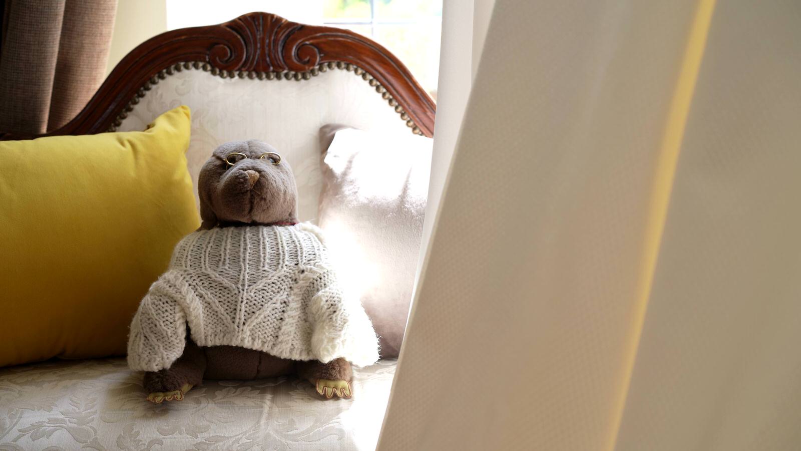 teddy sits by wedding dress