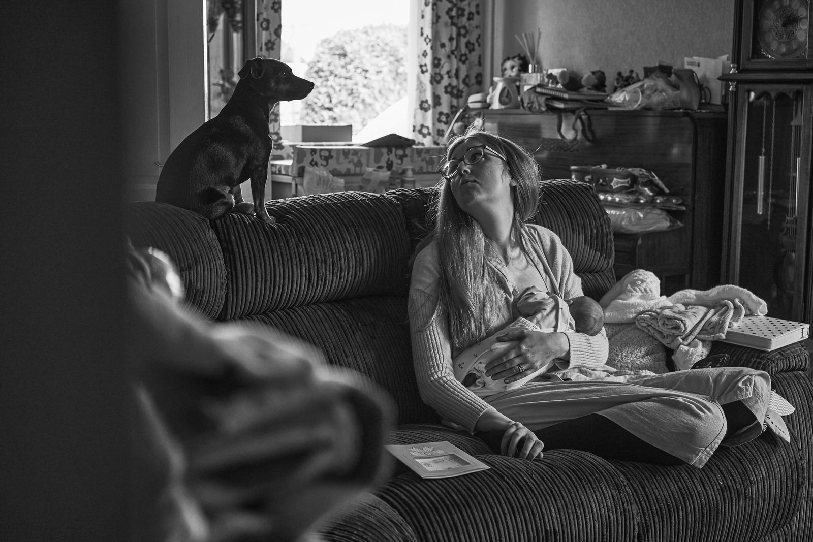 Mum cuddles sleepy newborn baby and looks up at their dog