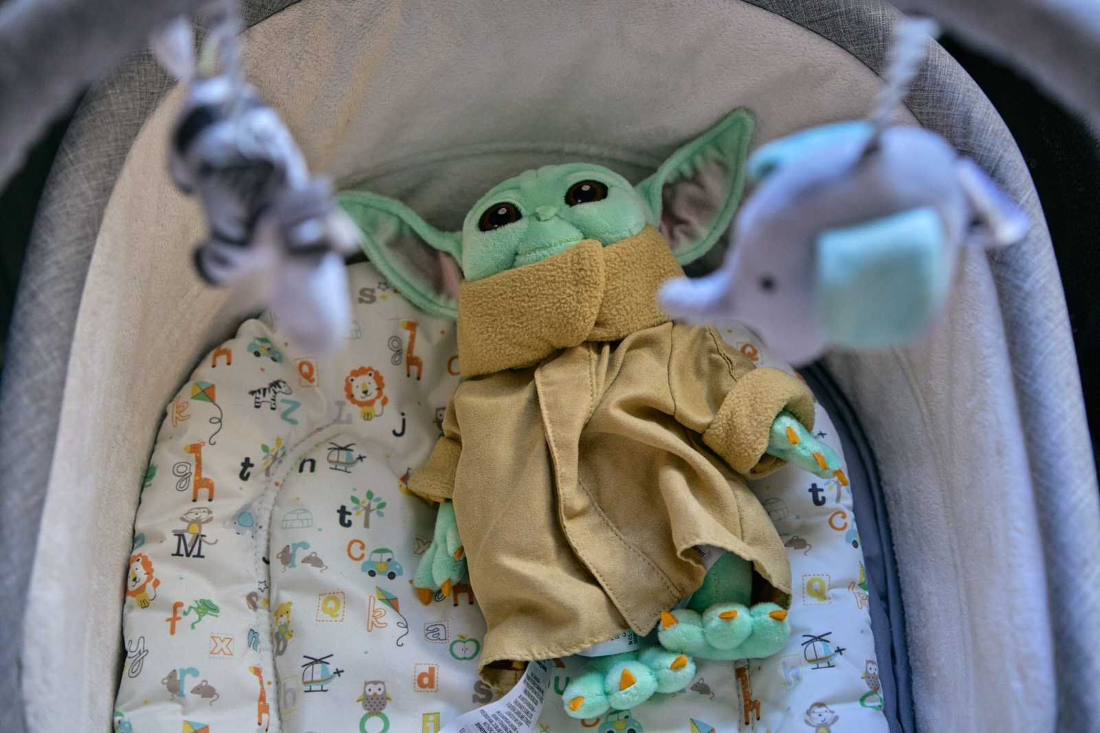 grogu baby yoda sits in the baby cot during family shoot
