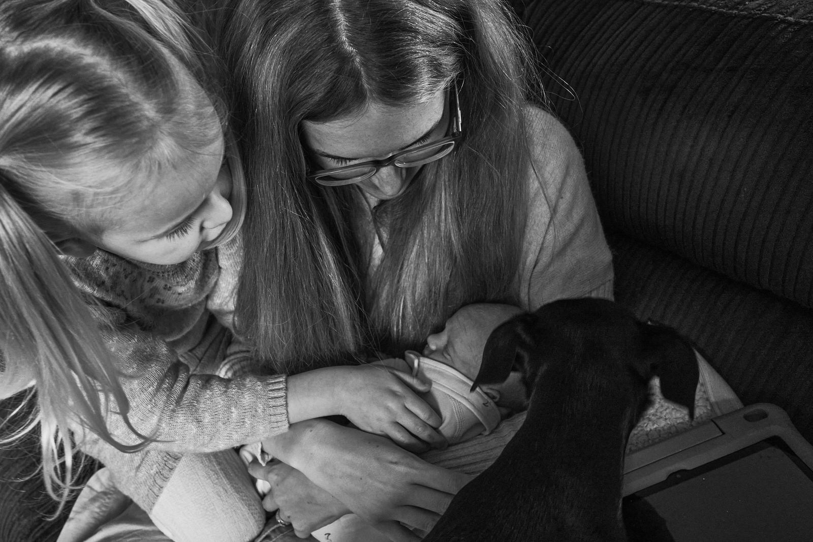 photo looking down on a family and their dog cuddling the new baby