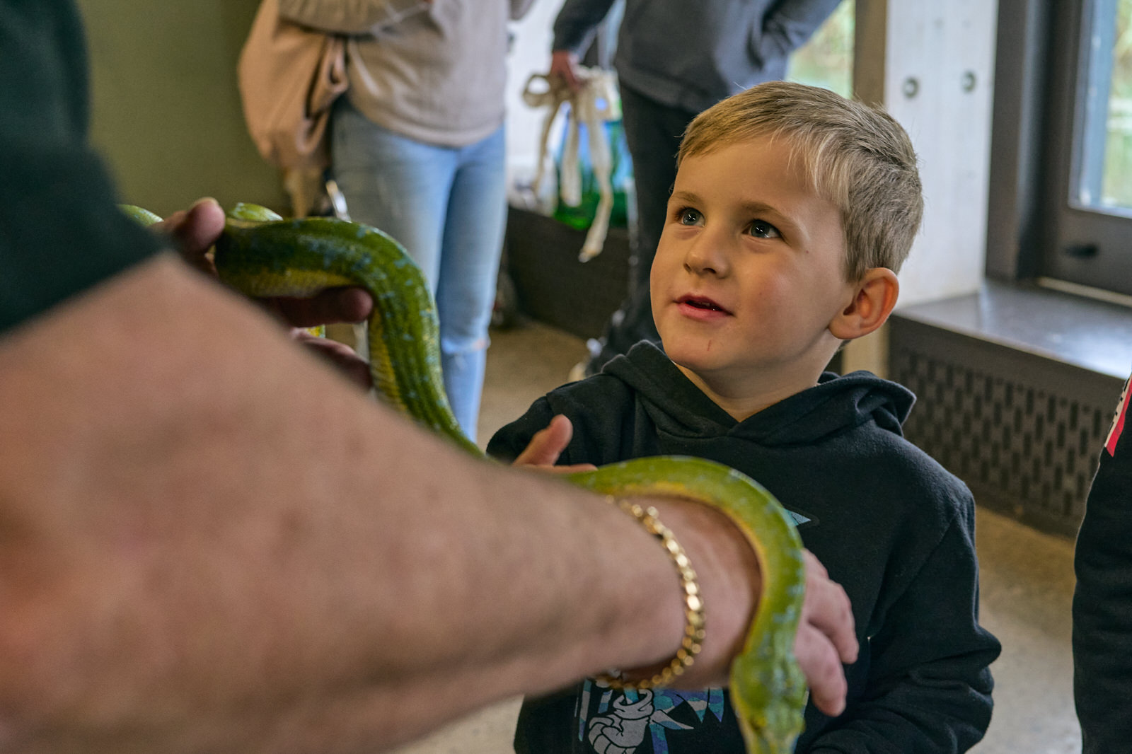 a little boy listens to a NW Reptile club member