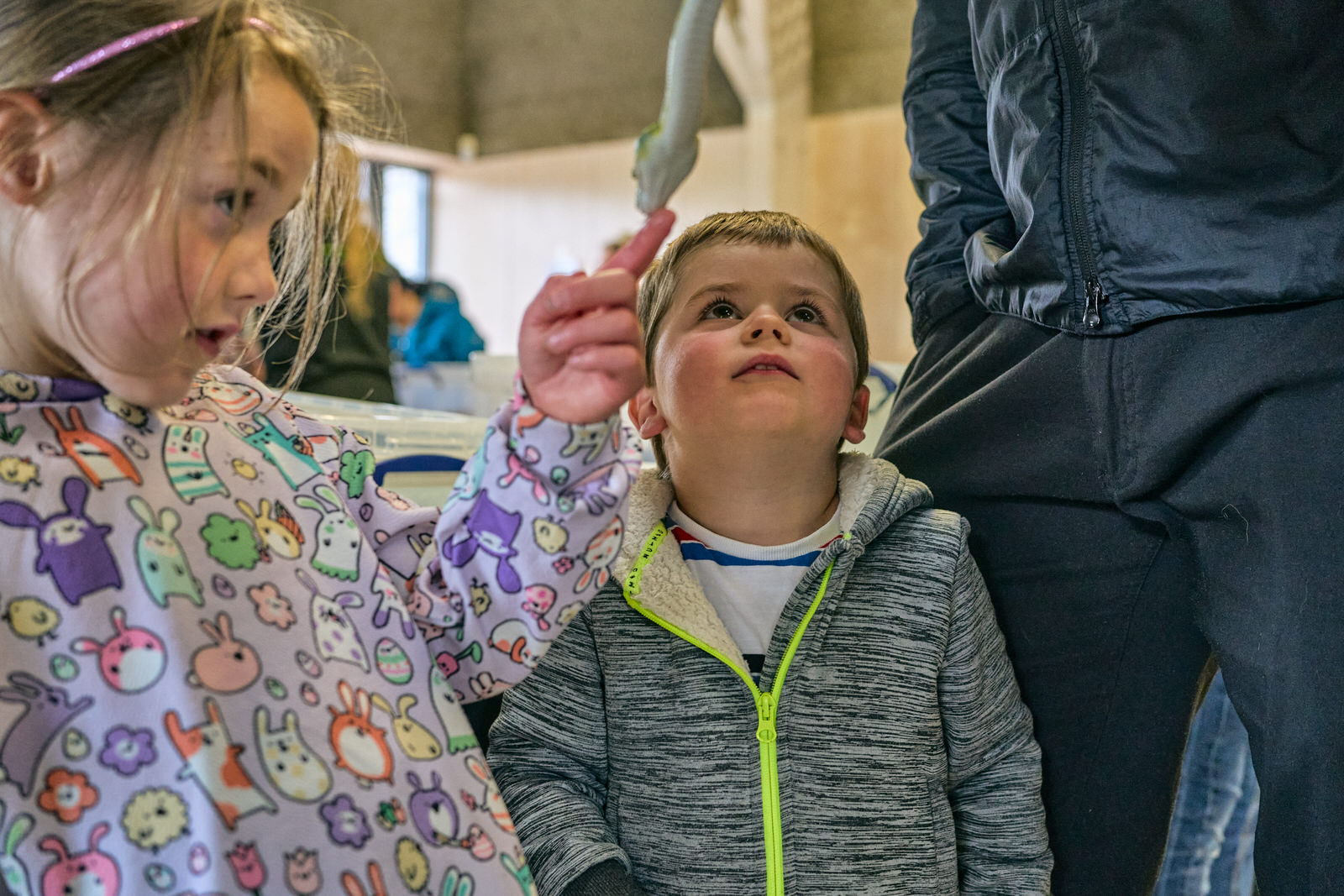 a boy looks up at a snake