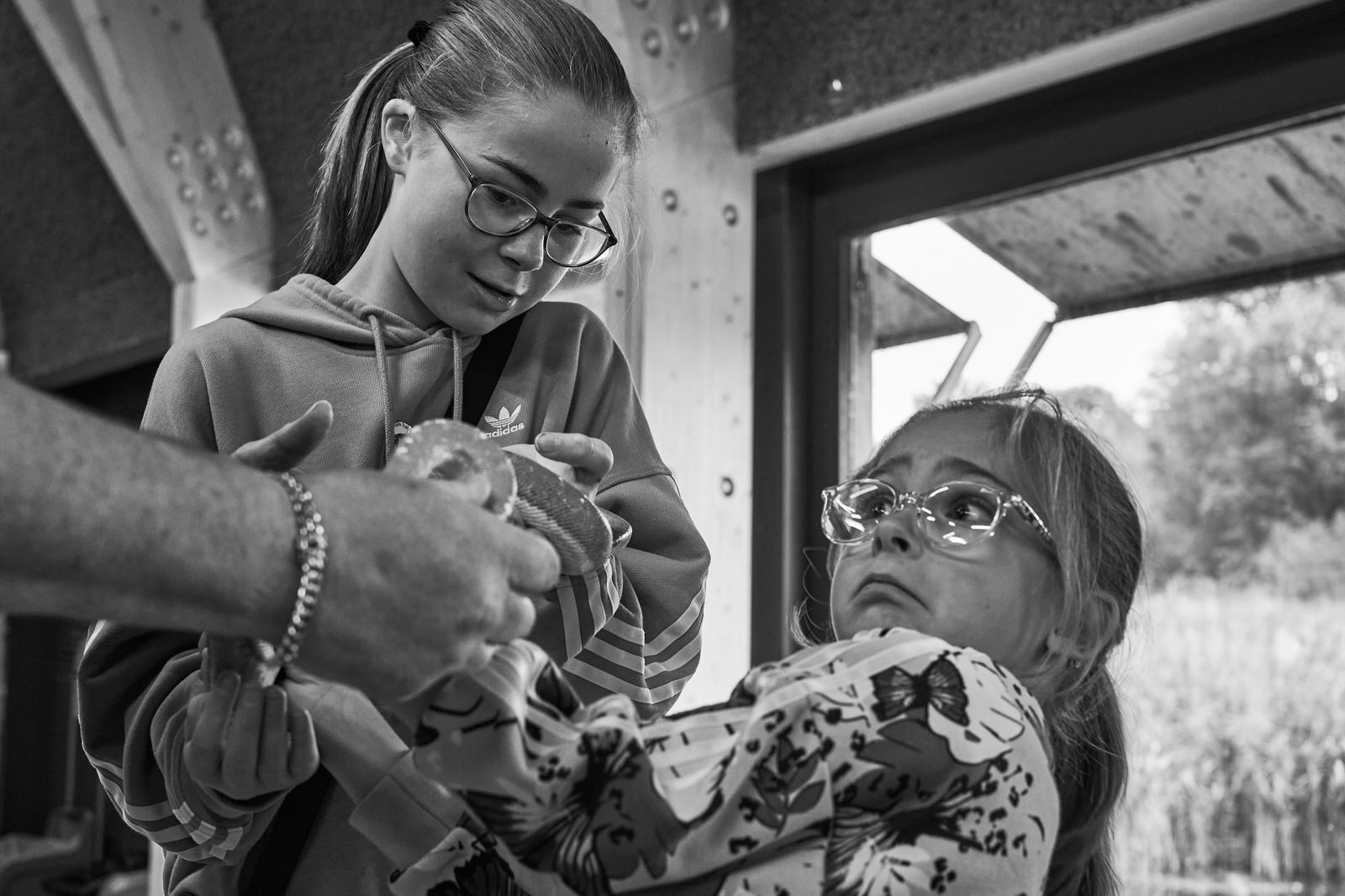 a young girl looks nervous as she gets close to a snake at Brockholes