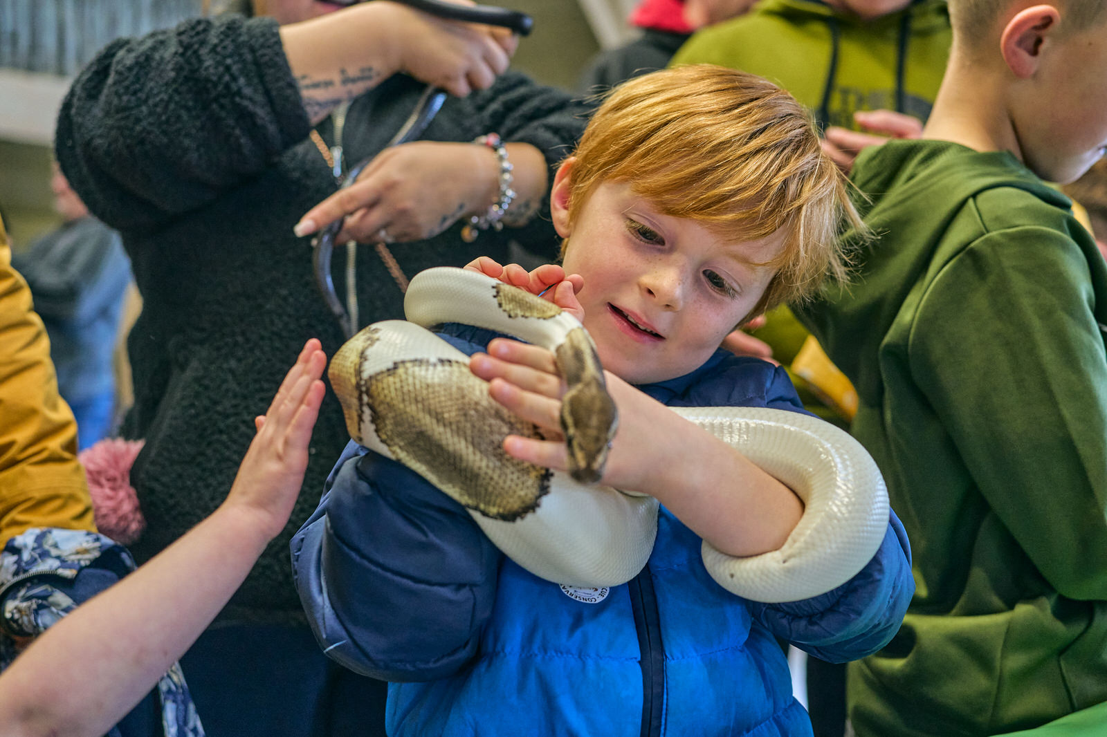 a candid photo of a boy enjoying holding a snake