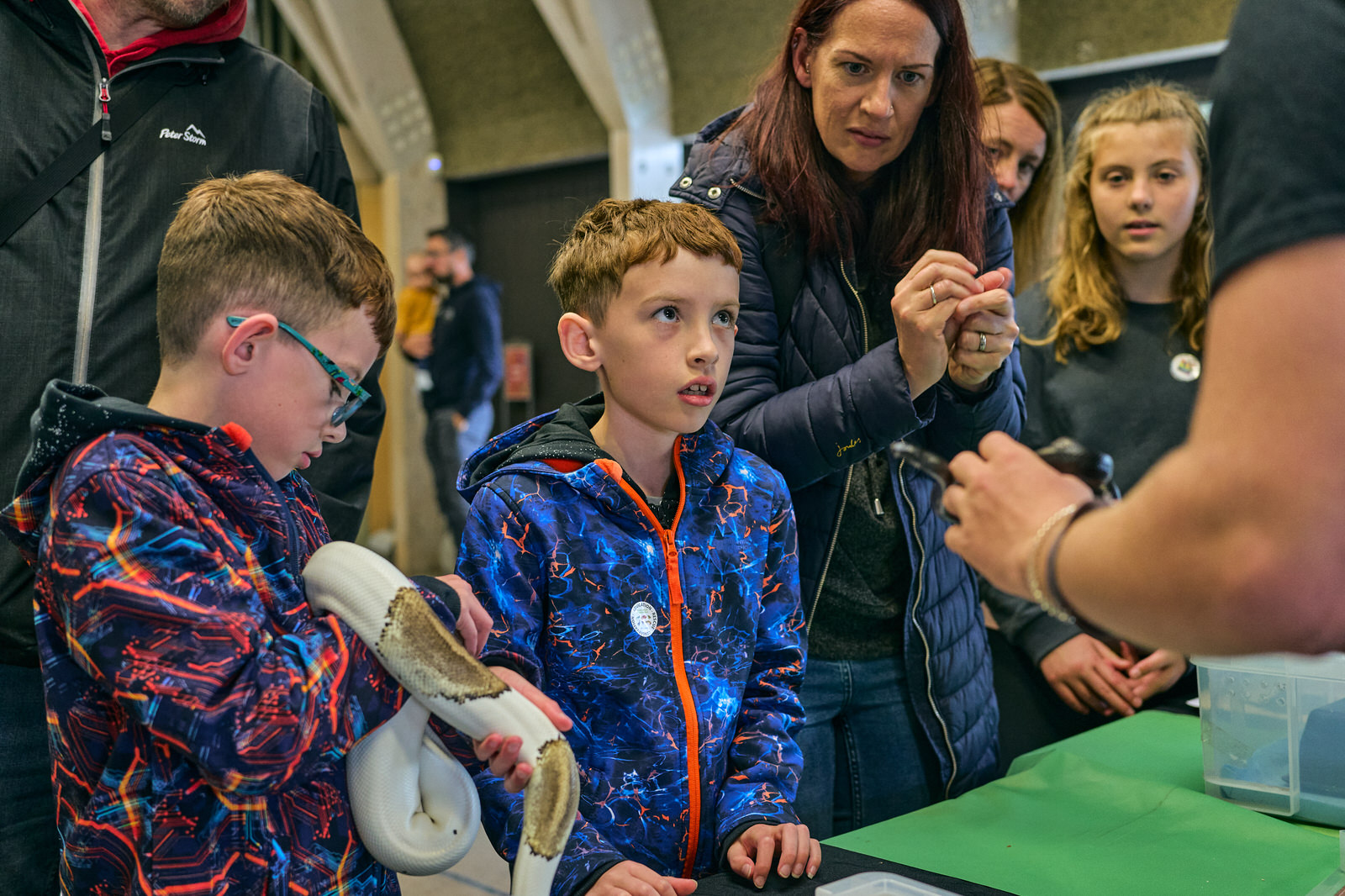 a family with 2 boys look nervous about a reptile at Brockholes