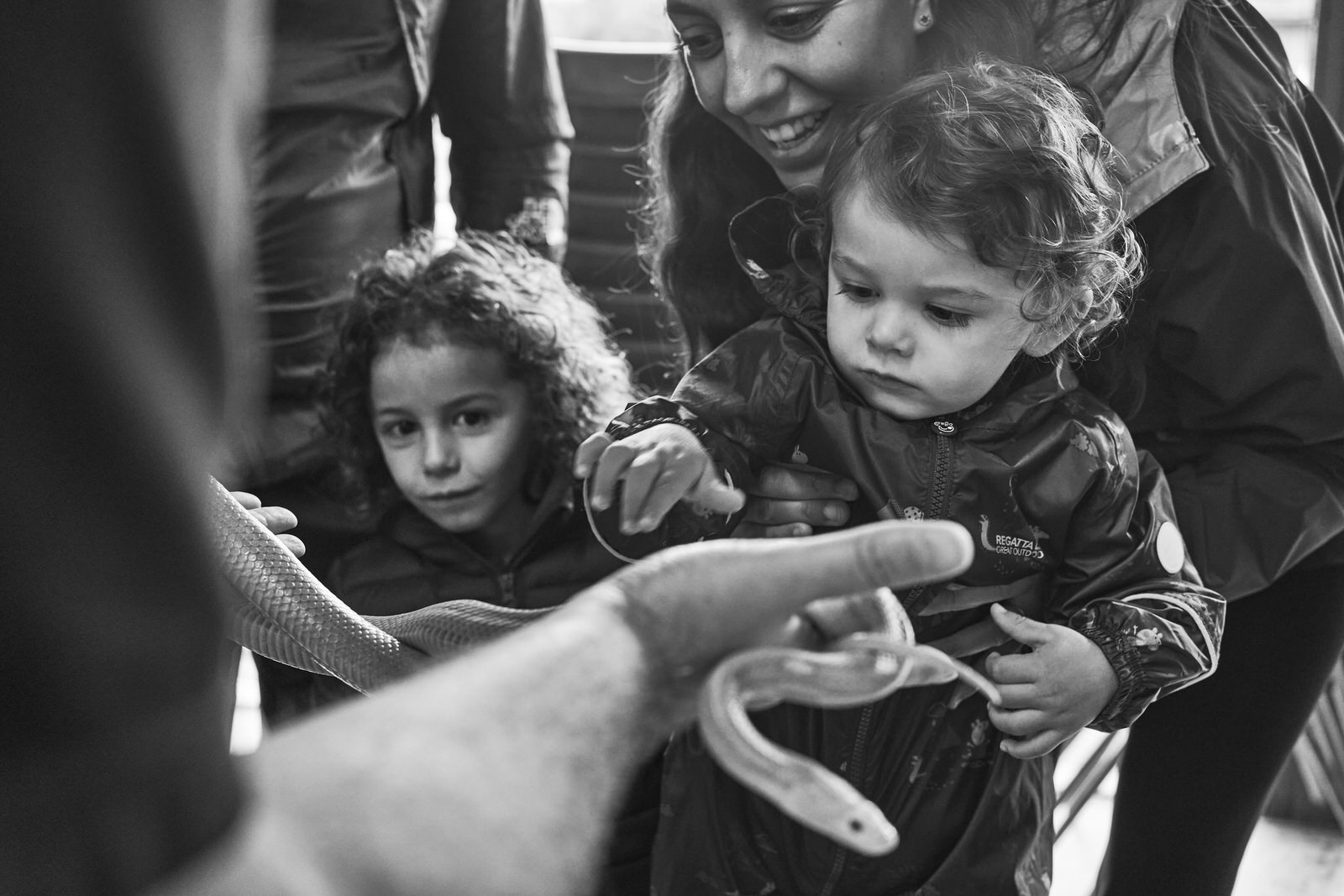 a baby reaches out to stroke a snake at Brockholes
