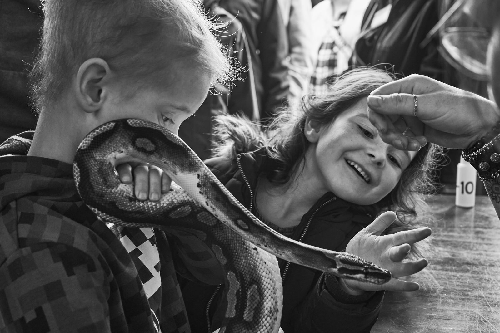 a little girl leans in to see a snake close up at Brockholes