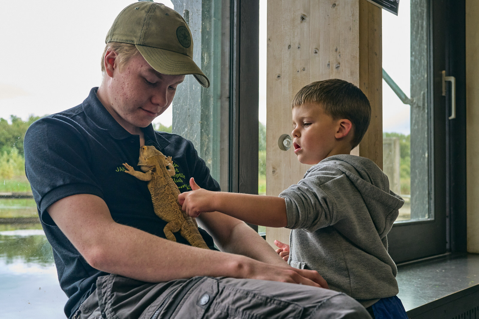 a boy strokes a bearded dragon at Brockholes