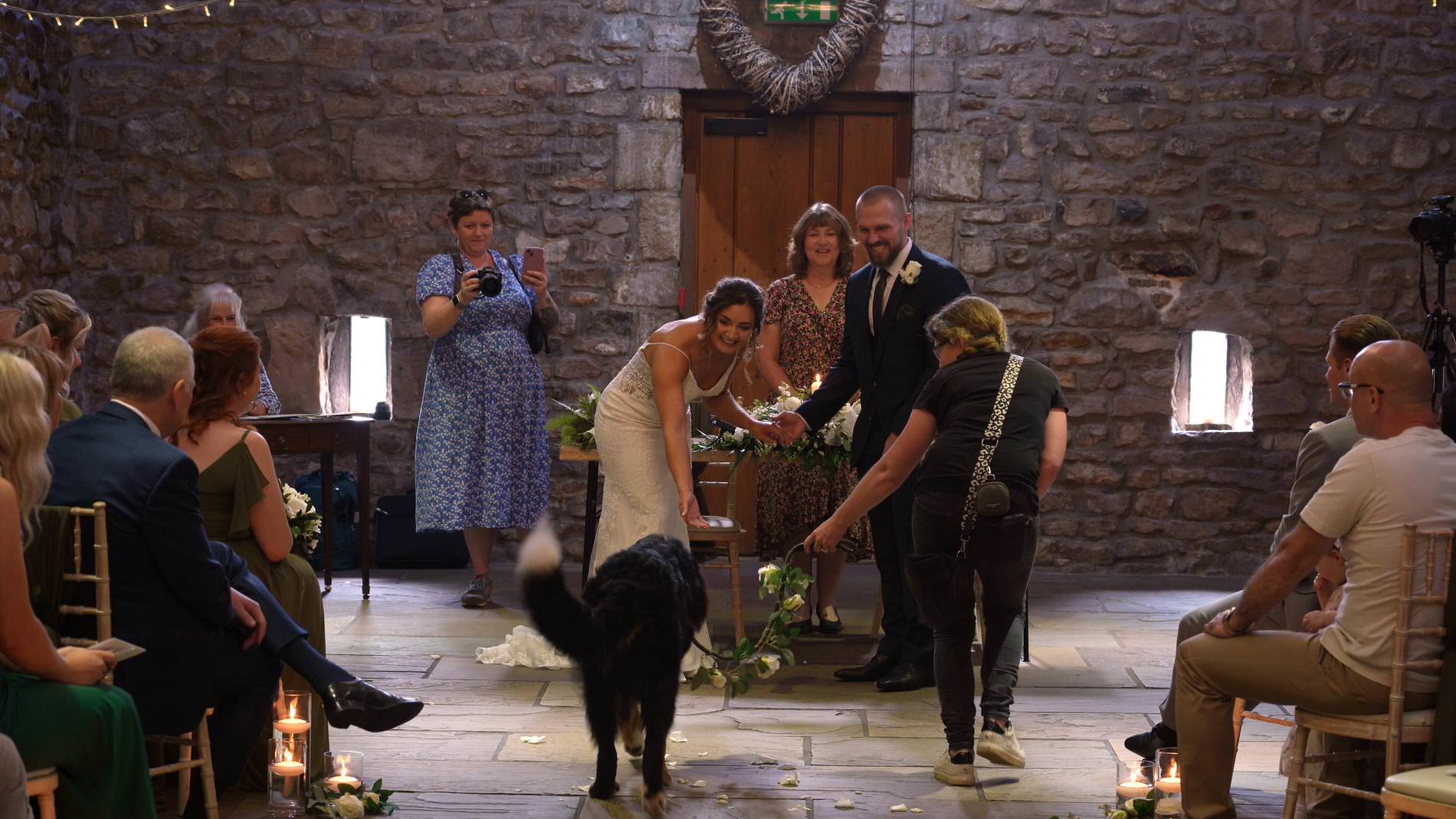 the dog ring barer walks down the aisle at Browsholme Hall
