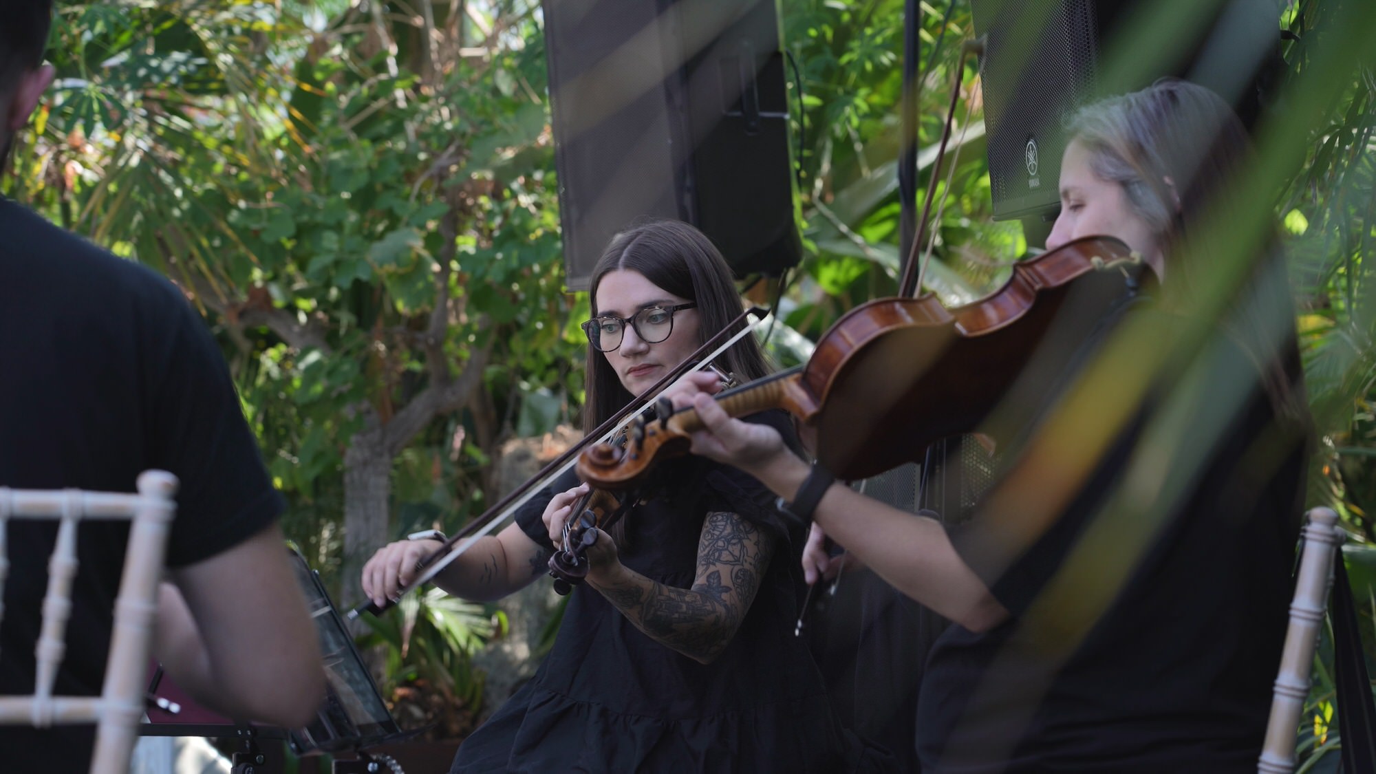 a beautiful video still of a string quartet playing for a wedding ceremony at Sefton Park Palm House
