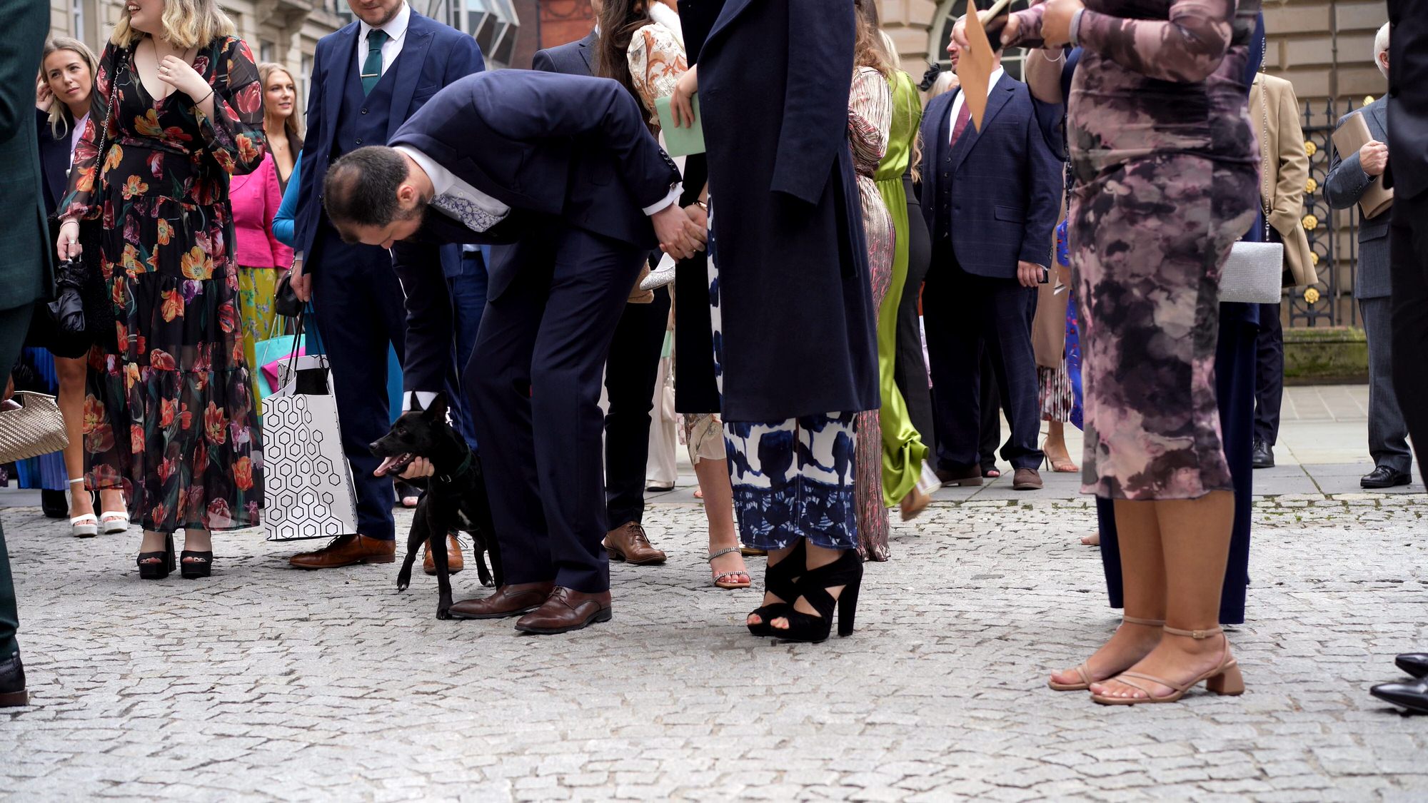 a natural moment of guests standing with the couples dog